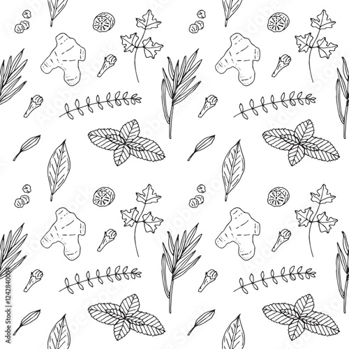 Spices and herbs seamless sketch pattern, hand drawing, vector illustration