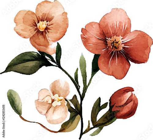 Watercolor burnt orange flower with delicate petals and green stem