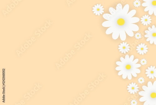daisy flowers on white background