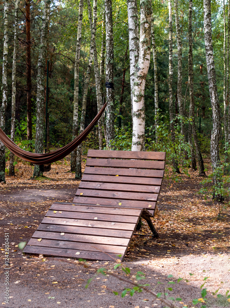 Wooden Recliner and Hammock in Autumn Forest Surroundings Wooden Recliner and Hammock in Autumn Forest Surroundings