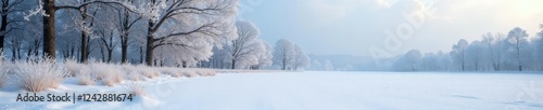 Freshly fallen snow on a frosty morning landscape with bare trees, serene, frozen