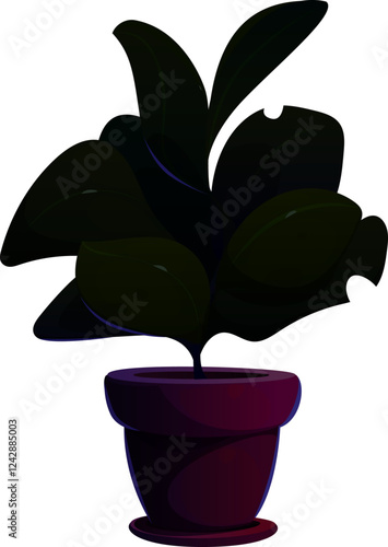 Plant in Pot