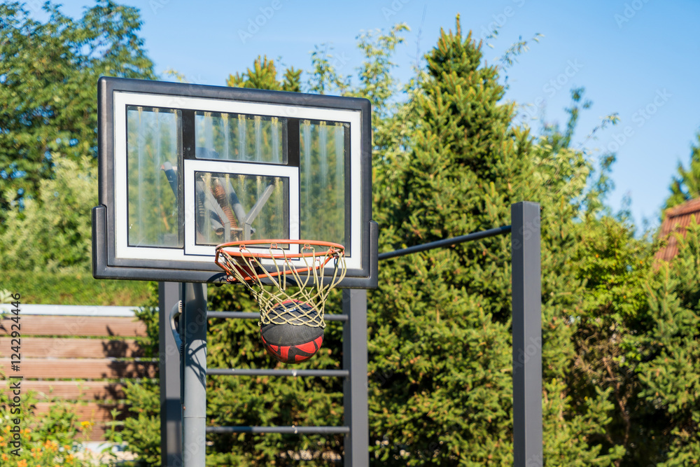 Fototapeta premium Basketball hoop with ball in outdoor setting surrounded by greenery on a sunny day