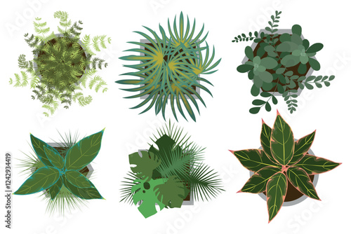 Set of top view flower pots in cartoon style.Vector illustration of green houseplants: ferns, calathea, monstera, palm leaves, jade plants,isolated on white background. Pots of different shapes.