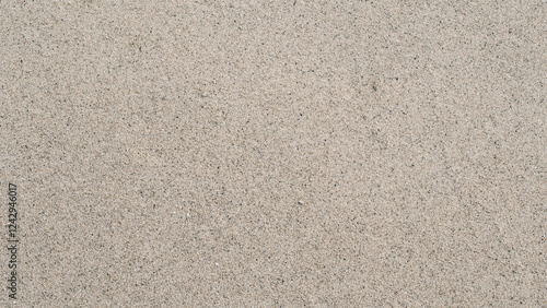 Wallpaper Mural texture of dry sea sand Torontodigital.ca
