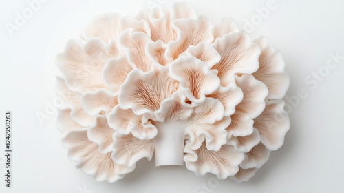 Beautiful and delicate pink mushroom resembling a blooming flower, showcasing intricate details and a smooth texture, perfect for nature lovers.
