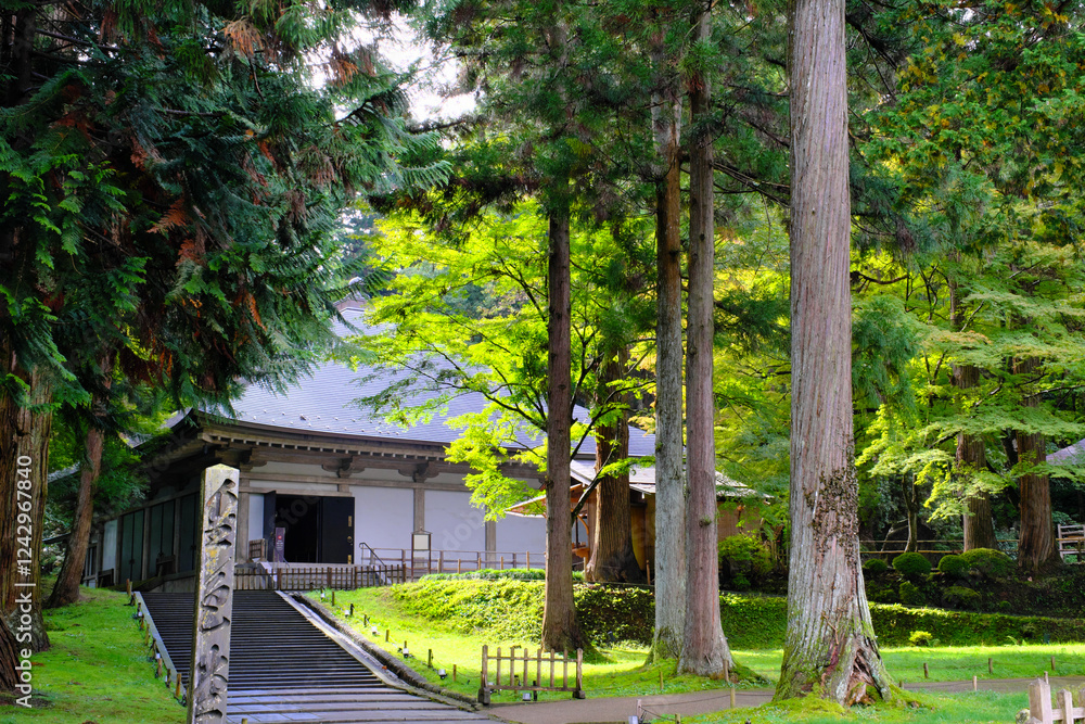 中尊寺金色堂の覆堂　岩手県
