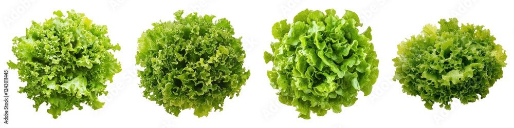 Fresh salad isolated on transparent background, PNG, Set of Fresh salad isolated on transparent background, PNG, Set of