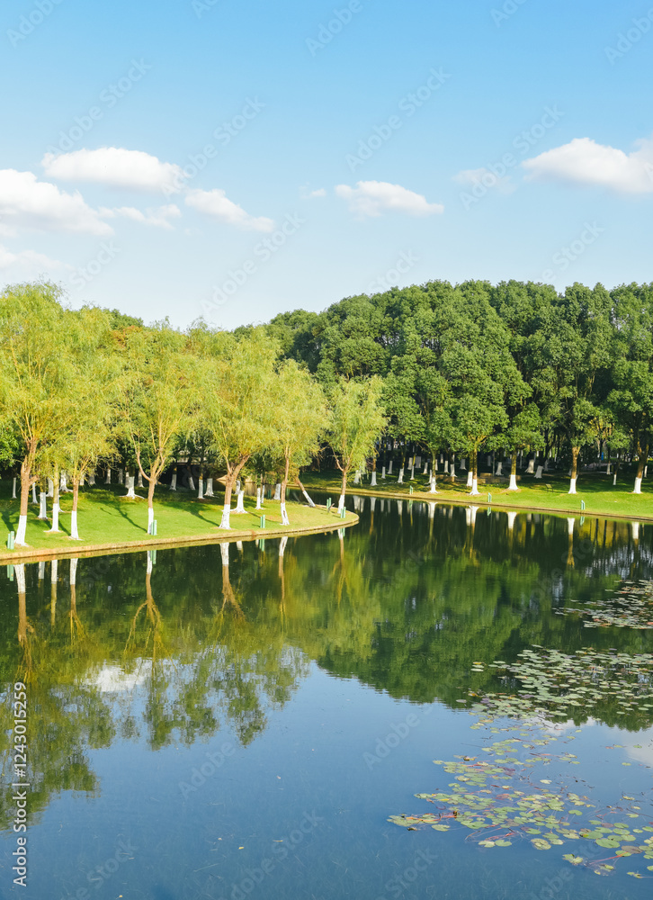 Fototapeta premium Early winter scenery at Yuanshi Park in Yinzhou District, Ningbo, Zhejiang Province, China