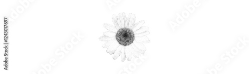 white daisy flower chamomile isolated in white background halftone vintage dots texture cut-out retro magazine style collage element for mixed media grunge design