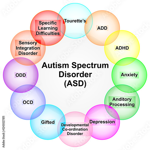 Autism Spectrum Disorder (ASD) Illustration