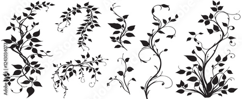 large selection of climbing hawthorn plants for ornament vector