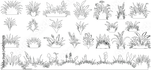 Plant elevation line silhouettes outline - grass, shrub, tree set