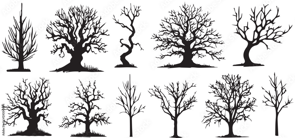 Obraz premium group of scary bare black trees without leaves