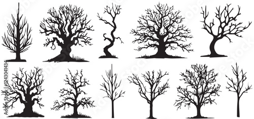 group of scary bare black trees without leaves