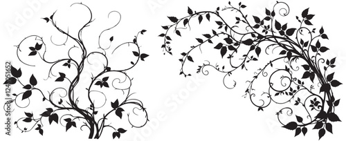 graceful pattern element of intertwined hawthorn and hop plants vector