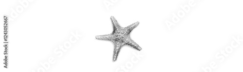 starfish isolated halftone dot collage element in retro magazine style on white background grunge pop art y2k vintage style sea animal dotted texture