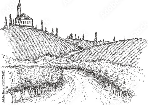 Hand draw vineyard tuscany landscape farm field in monochrome sketch style. Vintage panoramic vector illustration.