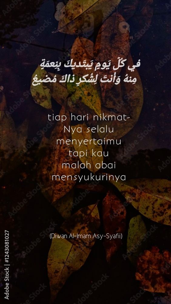 Obraz premium the world map