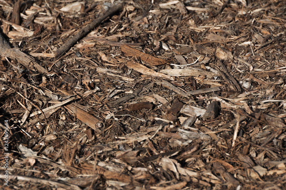 Close-Up of Natural Wood Chips and Mulch Texture Close-Up of Natural Wood Chips and Mulch Texture