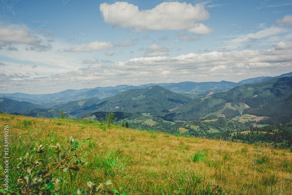 Fototapeta premium mountains, nature, natural, horse, dog, flowers, tourists, descent, green, height, grass, cable car, travel, Ukraine, Carpathians