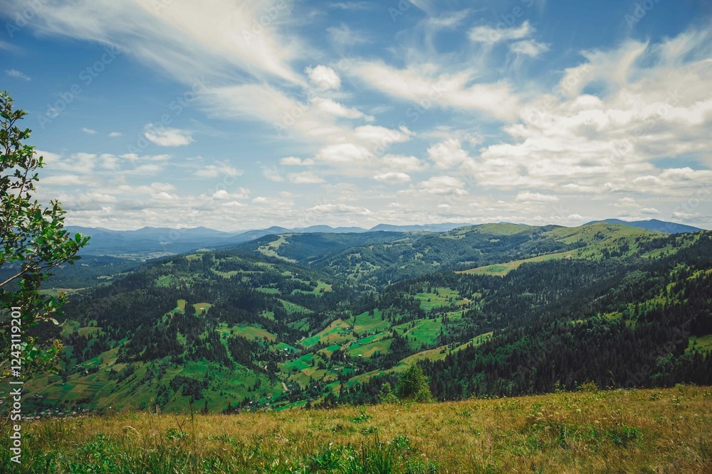Fototapeta premium mountains, nature, natural, horse, dog, flowers, tourists, descent, green, height, grass, cable car, travel, Ukraine, Carpathians
