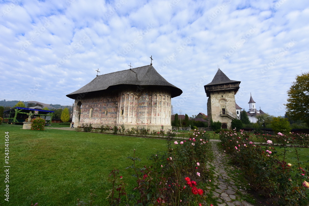 Fototapeta premium old castle on the hill