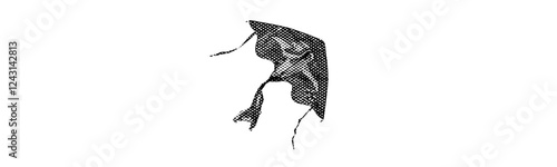 delta kite isolated halftone dot cut-out collage element in retro magazine style pop art grunge texture on white background