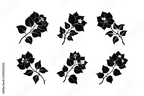 Bougainvillea (Bougainvillea spp.) silhouette vector illustration