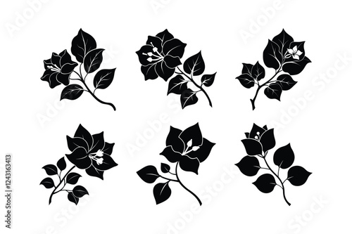 Bougainvillea (Bougainvillea spp.) silhouette vector illustration