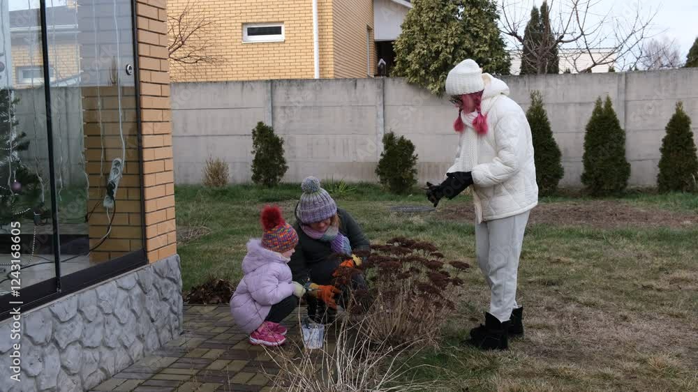 Family working in the garden. Trimming trees and bushes. Family working in the garden. Trimming trees and bushes.