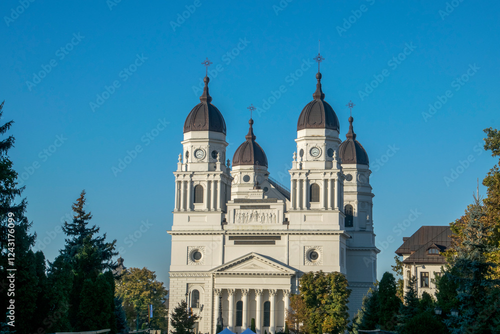 the cathedral of the sacred heart of jesus the cathedral of the sacred heart of jesus