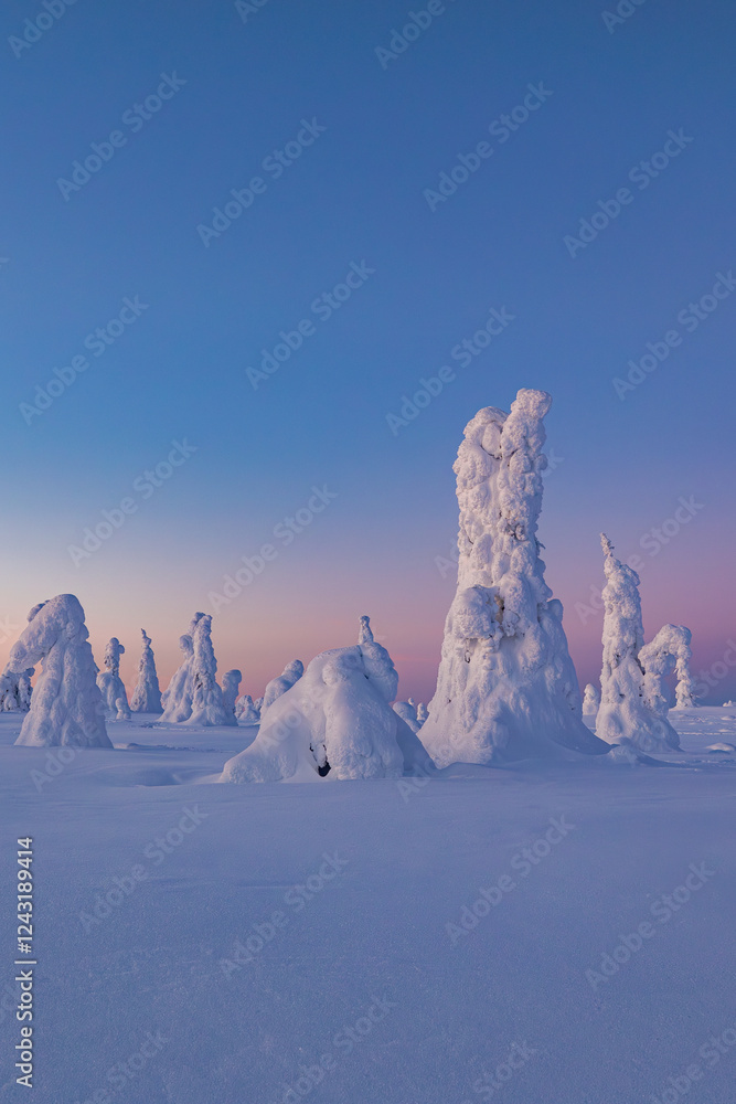 winter landscape with snow
