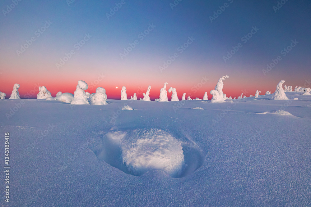 winter landscape