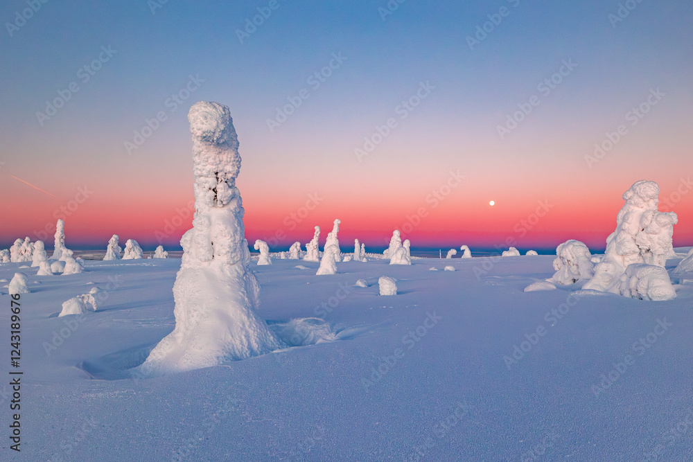 winter landscape with snow covered trees