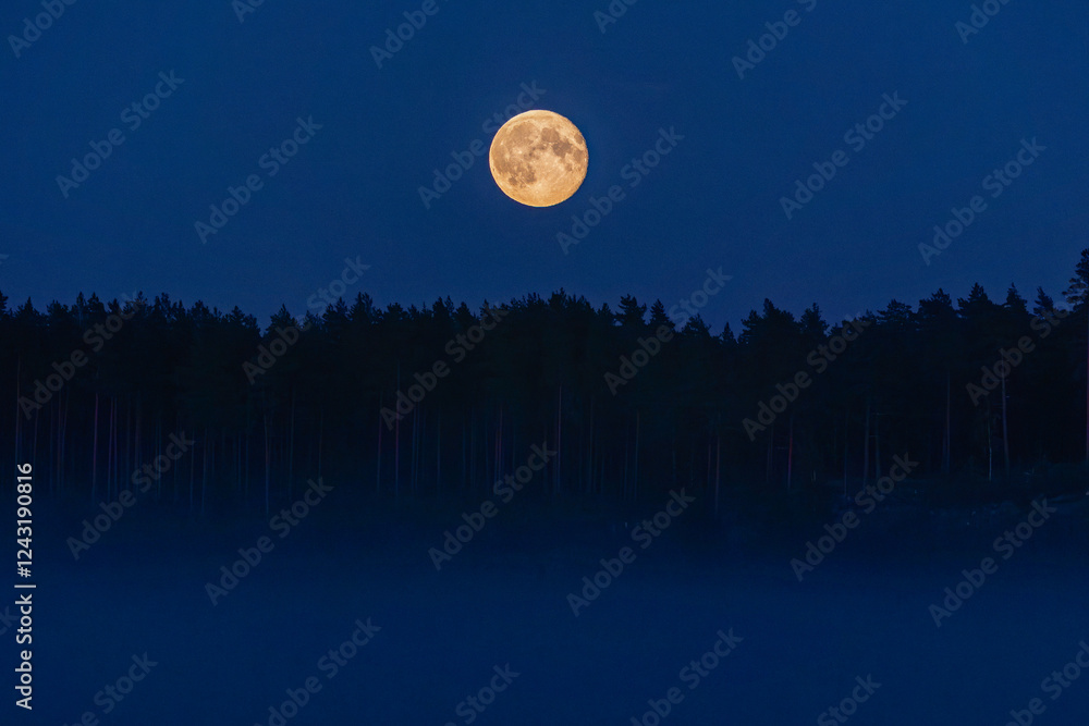full moon over the forest