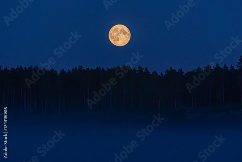 Obraz na płótnie full moon over the forest w salonie