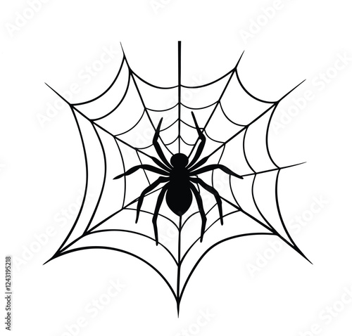 spider web vector art illustration