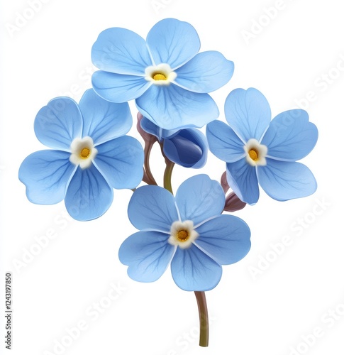 Blue Forget-Me-Nots blooming, isolated, white background, spring design