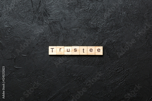 Fotografie trustee word written on wood block