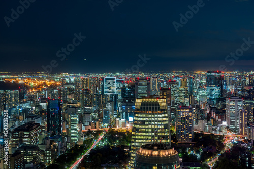 Obraz na płótnie Tokyo cityscape at magic hour. w salonie
