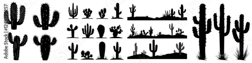 Unique silhouettes of cacti found in desert landscapes during sunset in southwestern United States