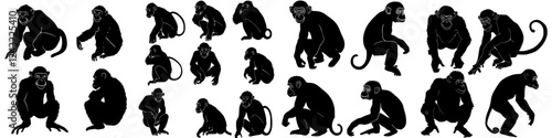 Photography Monkey silhouettes in various poses showcasing diverse movements and stances in