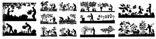 Silhouette scenes of gardening and harvesting activities in an agricultural setting during daylight hours