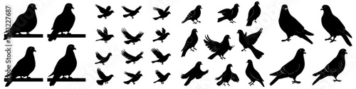 Various silhouettes of birds captured in flight and perched, showcasing diverse species and wing positions