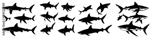 Silhouettes of various shark species swimming in different sizes and orientations against a white background