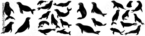 Multiple silhouettes of seals playing and lounging near the shore at sunset showcasing their natural behavior in the wild