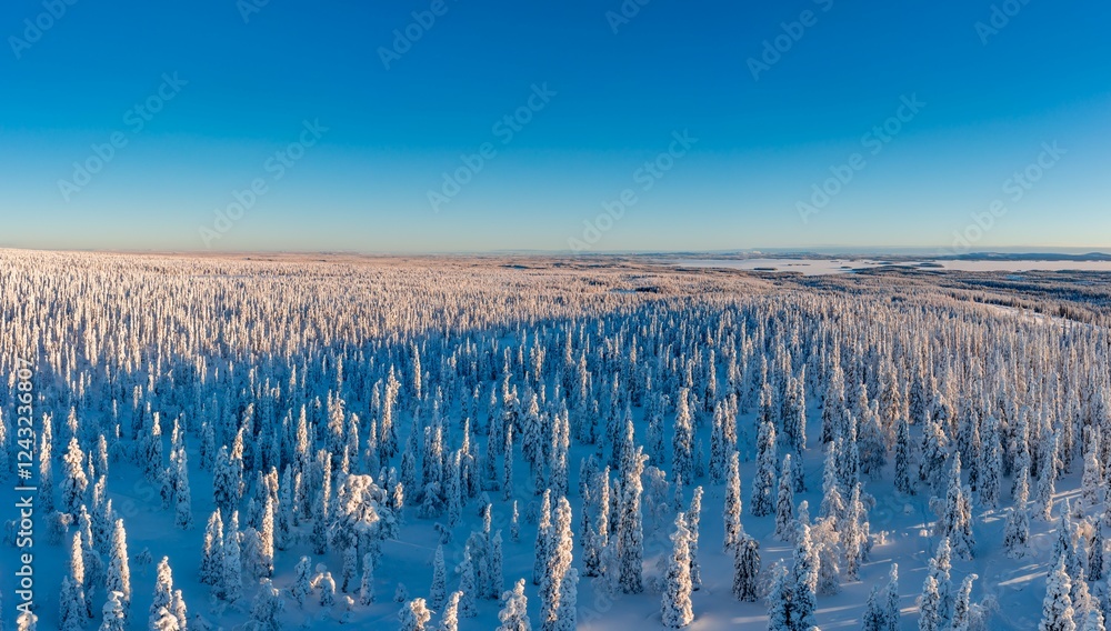 winter landscape in the morning