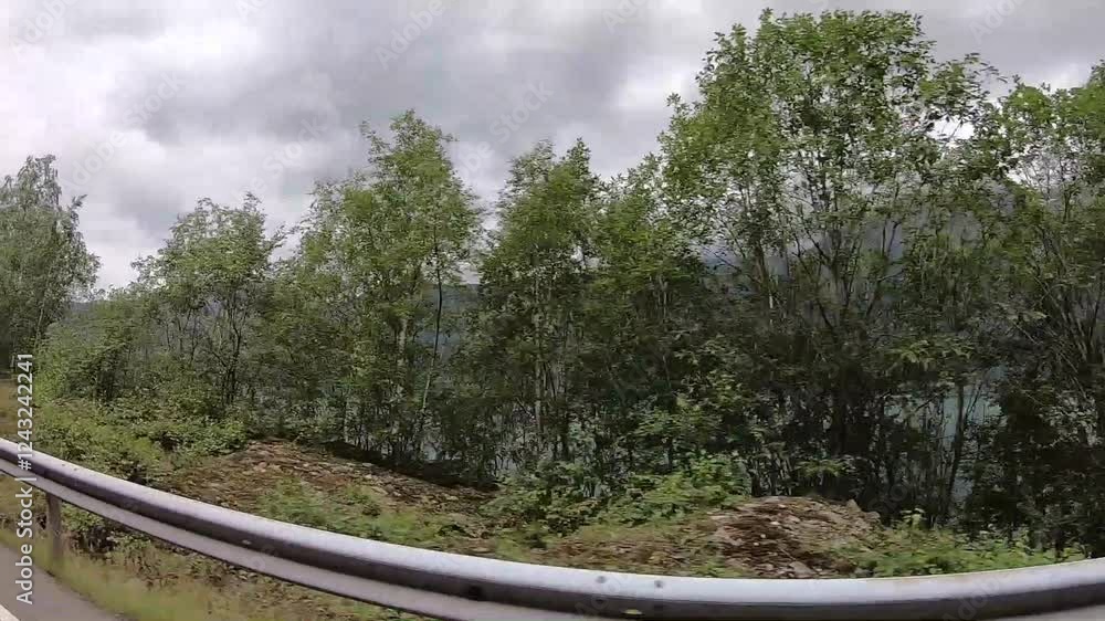 Road through forest in Norway. Road through forest in Norway.