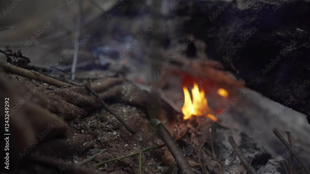 Campfire crackling under night sky while surrounded by nature in peaceful setting Campfire crackling under night sky while surrounded by nature in peaceful setting